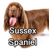 Untitled24320250629231117 — AKC Dog Breeds (Labeled) option 261
