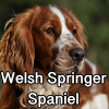 Untitled24320250629231223 — AKC Dog Breeds (Labeled) option 280