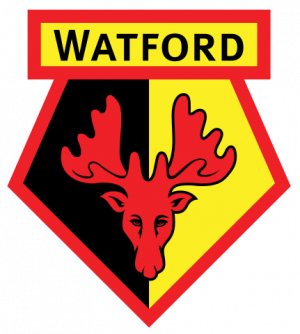 Watford — Rank English 92 fans option 86