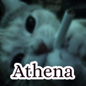 Zzzzz 1755931954athena — Schlatt Community Discord ^_^ option 1