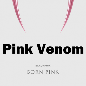 Born Pink Copy 6 — Blackpink Songs 2025 option 62
