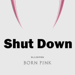Born Pink Copy — Blackpink Songs 2025 option 65