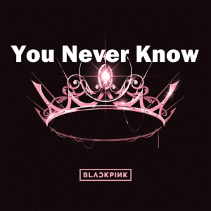 The Album Copy 2 — Blackpink Songs 2025 option 67
