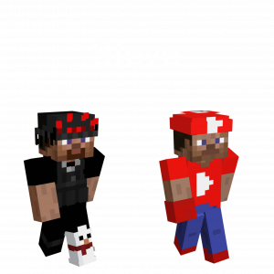 Zzzzz 1767426163steve — Lifesteal Duo + Trio List option 104