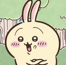 Usagi — Chiikawa characters option 19