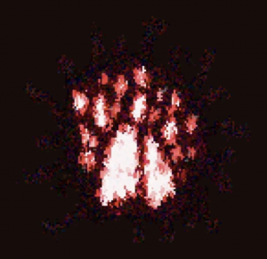 Screenshot 2026 09 03 At 24915am — Ranking EVERY Doors Entities from.. Doors. option 7