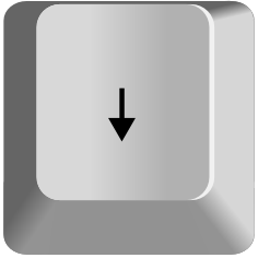 Cursor Down — every keyboard key option 58