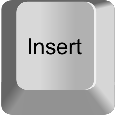 Insert — every keyboard key option 80