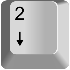 Keypad 2 — every keyboard key option 84