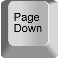 Page Down — every keyboard key option 100