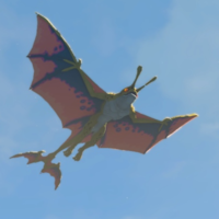 200px Aerocuda Totkcompendium — Zelda BOTW and TOTK enemies option 99