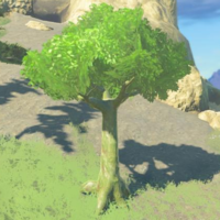 200px Evermean Totkcompendium — Zelda BOTW and TOTK enemies option 98