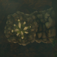 200px Rocklike Totkcompendium — Zelda BOTW and TOTK enemies option 89