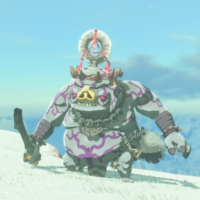 200px Silverbossbokoblin Totkcompendium — Zelda BOTW and TOTK enemies option 80