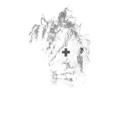 Zzzzz 1755925606gold — 2hollis songs option 53