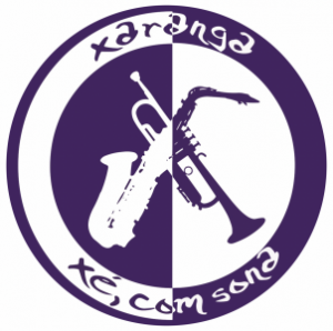 Logoxecom — Charangas de España option 33