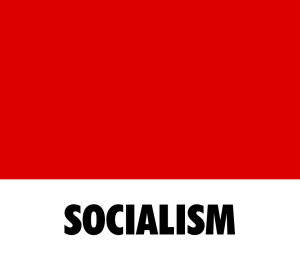 Zzzzz 1787580328social — Left Ideologies Tierlist 2026 option 8