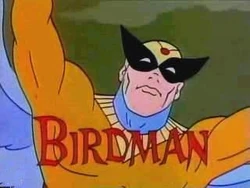 Birdman — Boomerang/Cartoon Network/Adult Swim option 19