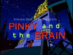Pinky And Brain — Boomerang/Cartoon Network/Adult Swim option 52