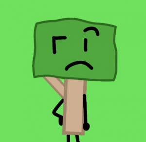 Img5703 — BFDI Redesign Tier List option 58