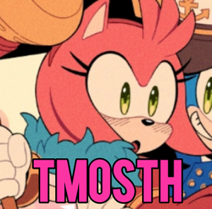 Zzzzz 1761777067zzz — Amy Rose Characterization Tier-List 🌹 option 30
