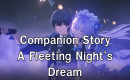 Wuthering Waves Main & Companion quests — option 30