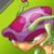 Zzzzz 1774733403commonshroomeravatar — Miscrits: World of Creatures; Version 2.20.0 option 385