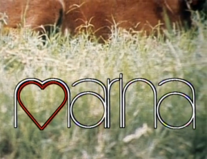 Marina80 — Novelas do Projeto Fragmentos do Globoplay option 26