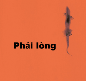 Thang7 — Album/Single Ngọt và Thắng option 62