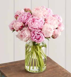 Peony — flower ranking list option 1