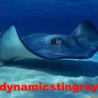 Dynamicstingray — The Ultimate SoFIFA Tierlist (2020-2026) option 36