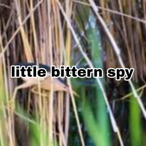 Zzzzz 1755530815picsart25 08 1818 26 17 952 — The Ultimate SoFIFA Tierlist (2020-2026) option 181