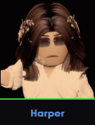 Harper — ROBLOX MAFIA Disguises option 52