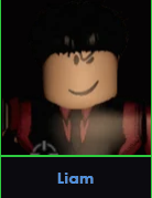 Liam — ROBLOX MAFIA Disguises option 57