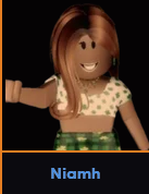 Niamh — ROBLOX MAFIA Disguises option 165
