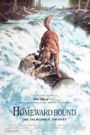 Zzzzz 1772999840homeward Bound The Incredible Journey — A Bunch of Random Movies I've Seen option 245