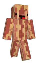 Baconwaffles0 — Minecraft Youtuber option 13
