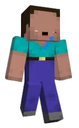 Dinglebotom — Minecraft Youtuber option 35