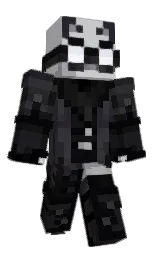 Dtowncat — Minecraft Youtuber option 42