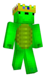Stryphh — Minecraft Youtuber option 171