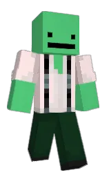 Wyll — Minecraft Youtuber option 201