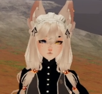 Fern — Wardens of Leefside Characters option 25