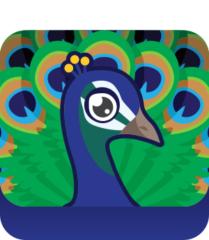 Peacock — EVERY Blooket Blook (October 2026) SPOOKTOBER option 123