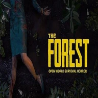The Forest Steam Pc Pl — my game option 59