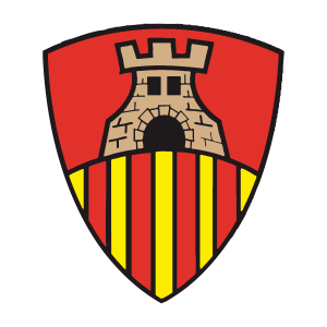 Castellersdeterrassa — Colles Castelleres option 74