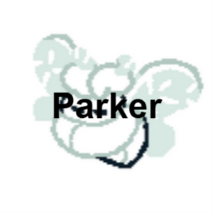 Parker — Annacord option 26