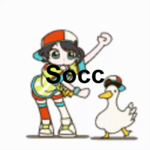 Socc — Annacord option 34