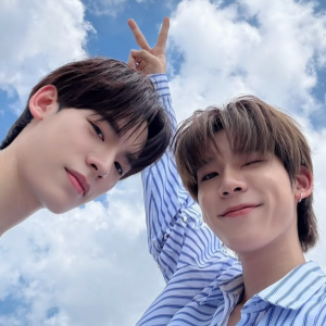 DMD couples (with old and unofficial pairings) — option 14