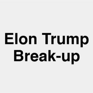 Image 25 — Second Trump Term Events option 27