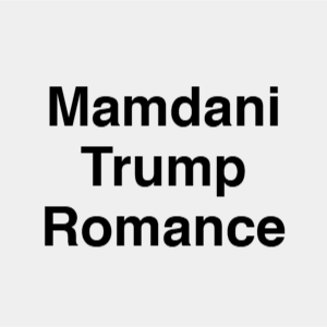 Image 7 — Second Trump Term Events option 52